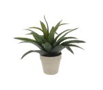 Plant Pp Pot W stones 25CM - 2ASS