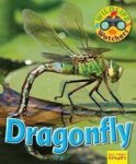 Wildlife Watchers: Dragonfly 2017 Paperback