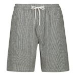Mens Striped Walk Shorts