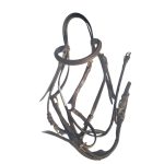 Full Grackle Bridle A20.8