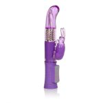 Calex Shane's World Jack Rabbit G Purple