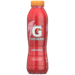 Gatorade Fruit Punch 495ML - Buy 1 Get 1 Free