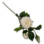 Rose Stem 70CM - White
