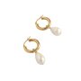 Amy Hoops - Silver