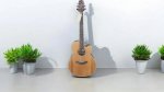 Takamine GN20CE Ns
