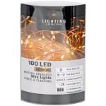 Bo 100 LED Wire Light