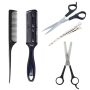 5-PIECE Professional Hair Cutting And Styling Kit - Black & Silver