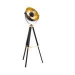 Covaleda Floor Light 840MM Black gold