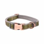 Rogz Urban Classic Large Dog Collar - Olive Twist Waggs Online Pet Shop