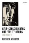 Self-consciousness And Split Brains - The Minds& 39 I Hardcover
