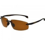 Sport Polarized