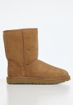 Classic Short II - Chestnut