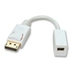 15CM Displayport Male To Mini-displayport Female Adapter Cable 41060