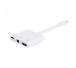 Equip Cable USB Type C To MINI Display