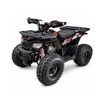 125CC Hunter II Offroad Quad Bike Tao Motor + Remotes Red For 12 Years + Eta 20 August '26 - Black