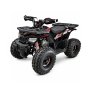 125CC Hunter II Offroad Quad Bike Tao Motor + Remotes Red For 12 Years + Eta 20 August '26 - Black