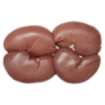 Frozen Pork Liver Per Kg