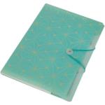 Mint Concertina File 6 Division