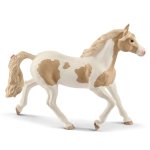 Horse Club - Paint Horse Mare