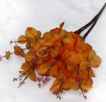 Pennygum Orange 50 Cm