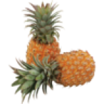 Medium Queen Pineapple