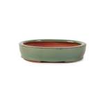 Assorted Glazed Bonsai Pots 6" - Green Shallow Oval 15.5 X 12 X 3CM