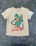 Woolworths Grey Dinosaur Recycling T-Shirt 2Y