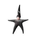 Weighted Waldorf Star Baby - Grey Fair