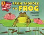 From Tadpole To Frog Paperback