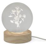 LED Globe