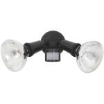 Eurolux 22W LED Par 38 Security Light Light 22W