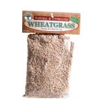 Umuthi Wheatgrass Sprouting Seeds - 500G