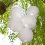 1PC Chinese White Paper Lantern Hanging Paper Lanterns White Round Paper Lanterns 30.48CM 40.64CM White Hanging Lanterns Wedding Party Decorations Christmas Halloween Decorative Lanterns