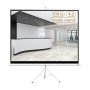 Deli 100INCH Portable Projector Screen