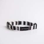 Jailbird Collar - Dog Collar - Medium