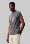 Calvin Klein Seasonal Monologo Tee - Endless Grey