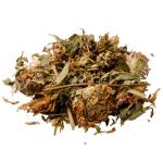 Red Clover Trifolium Pratense - Bulk - 250G