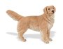 Safari Ltd Best In Show Golden Retriever
