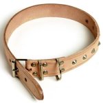 Dog Collar Leather Rivetted 16MMX400MM