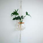 Macrame Hanger With Fishbowl And Philodendron Selloum