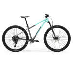 Big Nine 400 2026 - XL