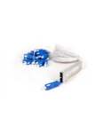 Acconet. Acconet Fibre Splitter 1 16