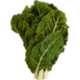 Spinach Bunch