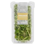 Pnp Origanum 20G