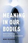 Meaning In Our Bodies - Sensory Experience As Constructive Theological Imagination Hardcover