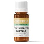 Frankincense Serrata Essential Oil