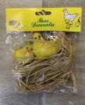 Easter Chick In Nest