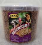 Daro Dried Mealworms 500G In A Tub