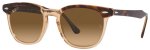 Ray Ban RB2298 Hawkeye Polarized