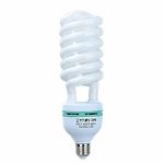 85WATT Spiral Globes